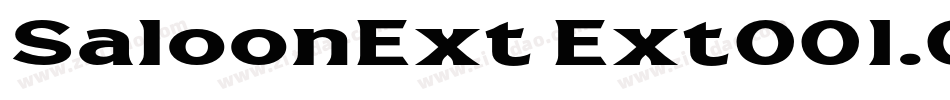 SaloonExt Ext001.001字体转换